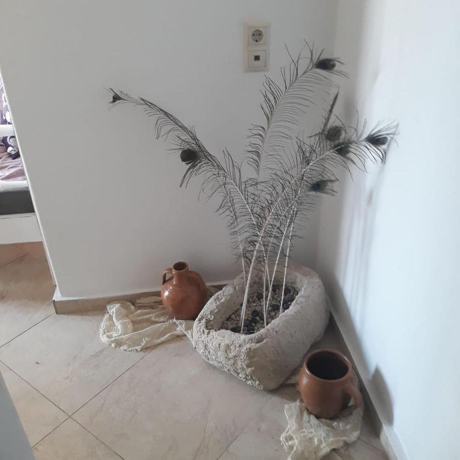 Kleopatra Deluxe Apartment With Jacuzzi カミラリ エクステリア 写真